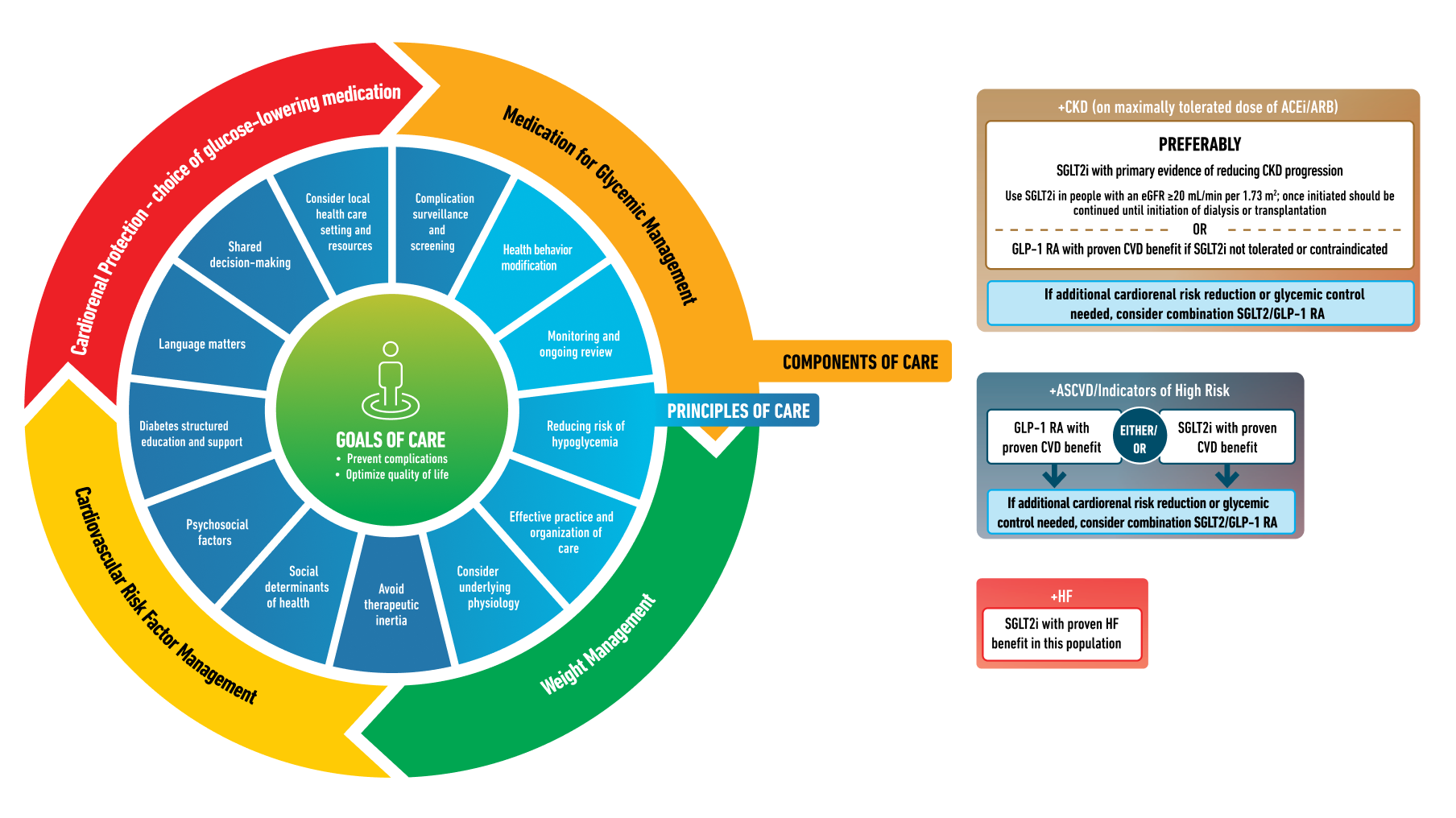 Componente Ingrijire Diabet Zaharat